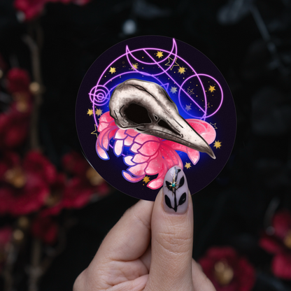 Bird Skull Sticker bonesandgardens